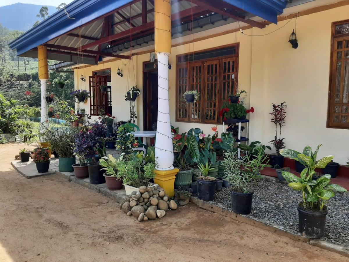 Guest house Vegetable Garden House