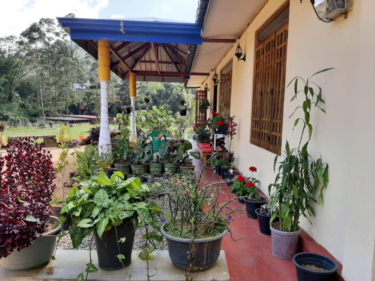 Vegetable Garden House
