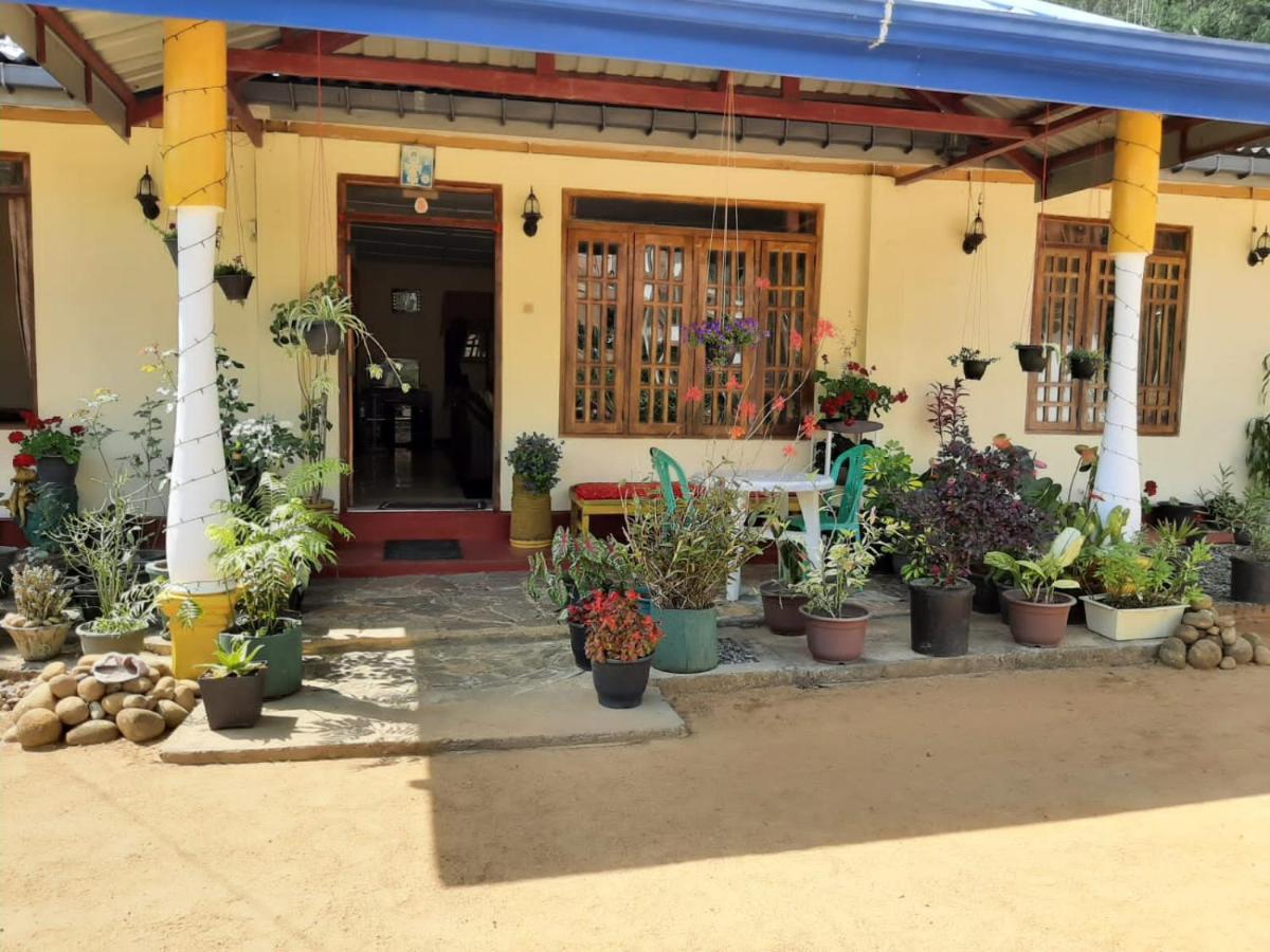 Vegetable Garden House