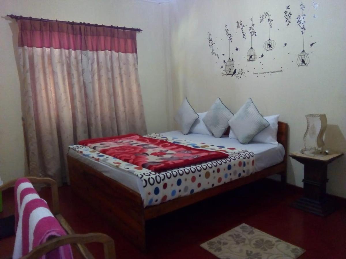 Vegetable Garden House Guest house