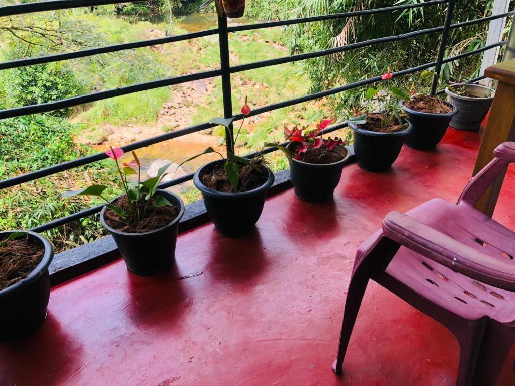 Vegetable Garden House Gasthof