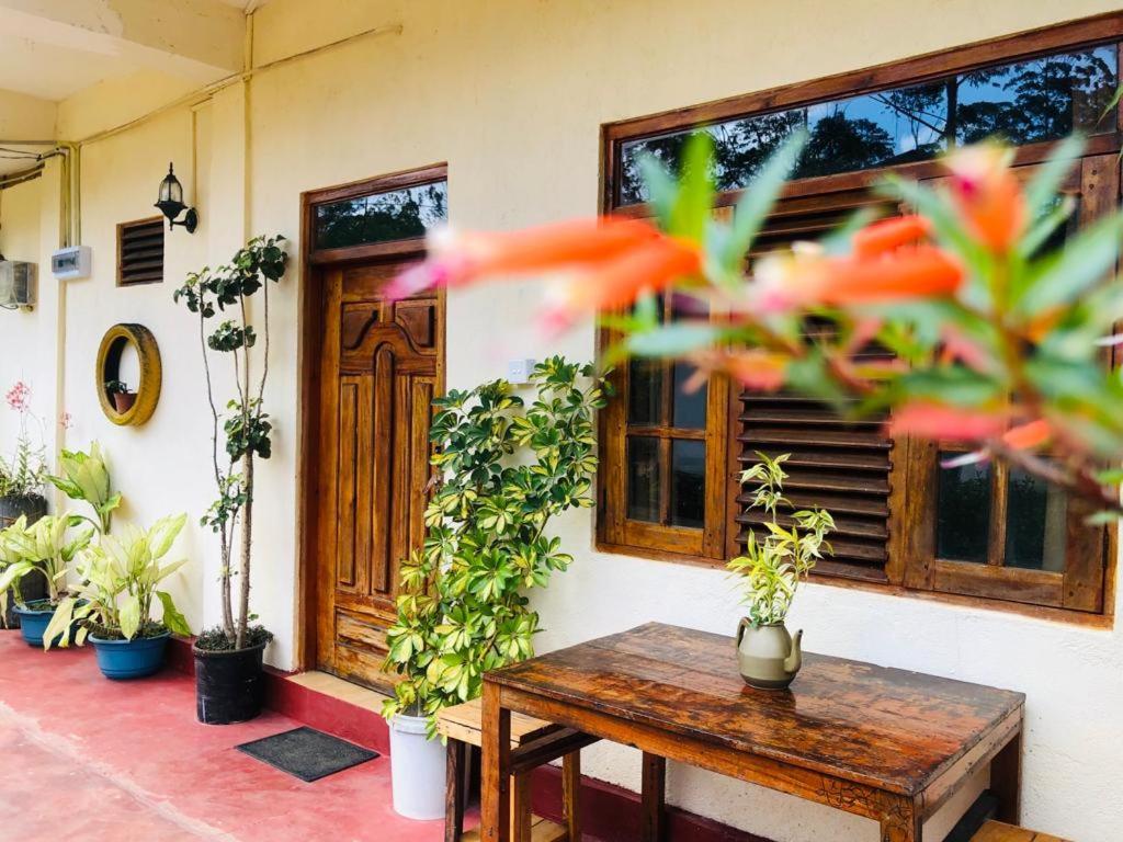 Vegetable Garden House Guest house *