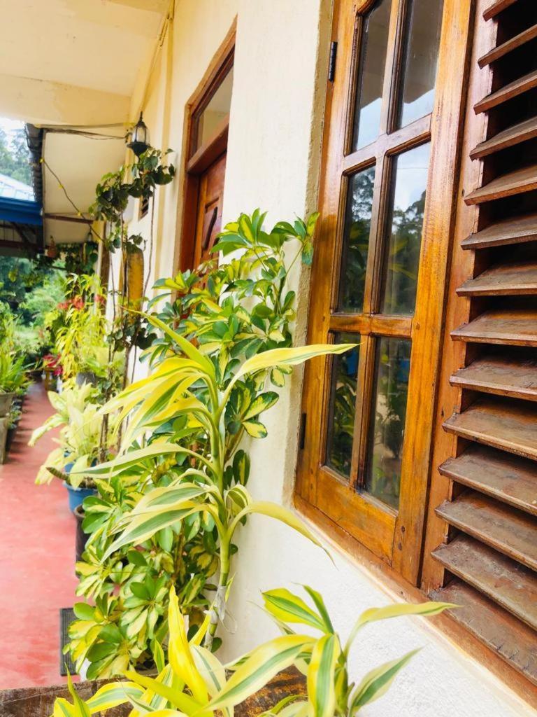 Vegetable Garden House Gasthof Nallathanniya