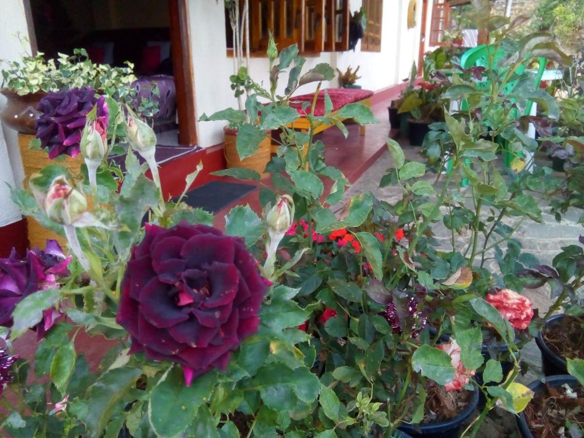 Vegetable Garden House Guest house