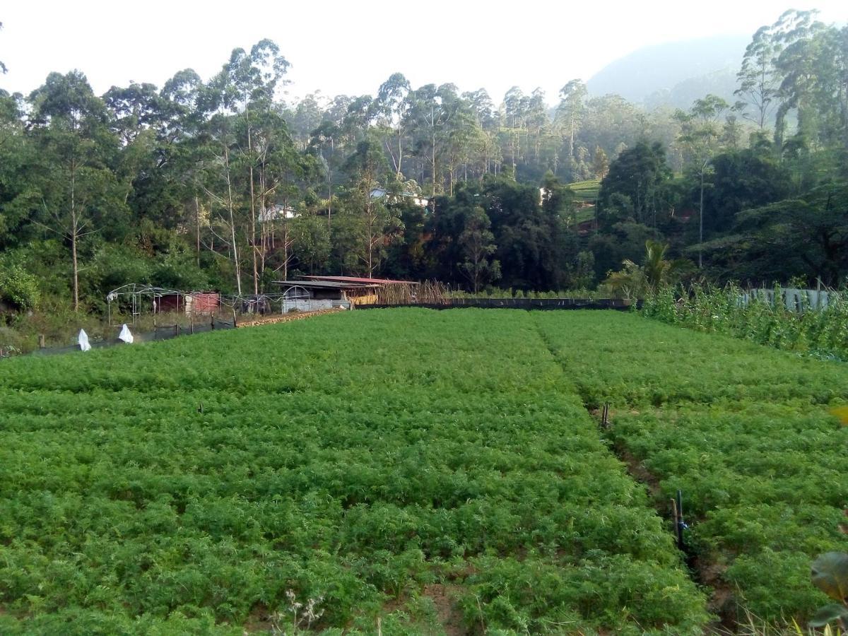 Guest house Vegetable Garden House